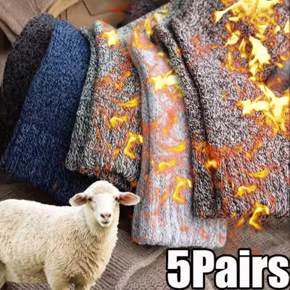 5pc Unisex Thick Thermal Socks